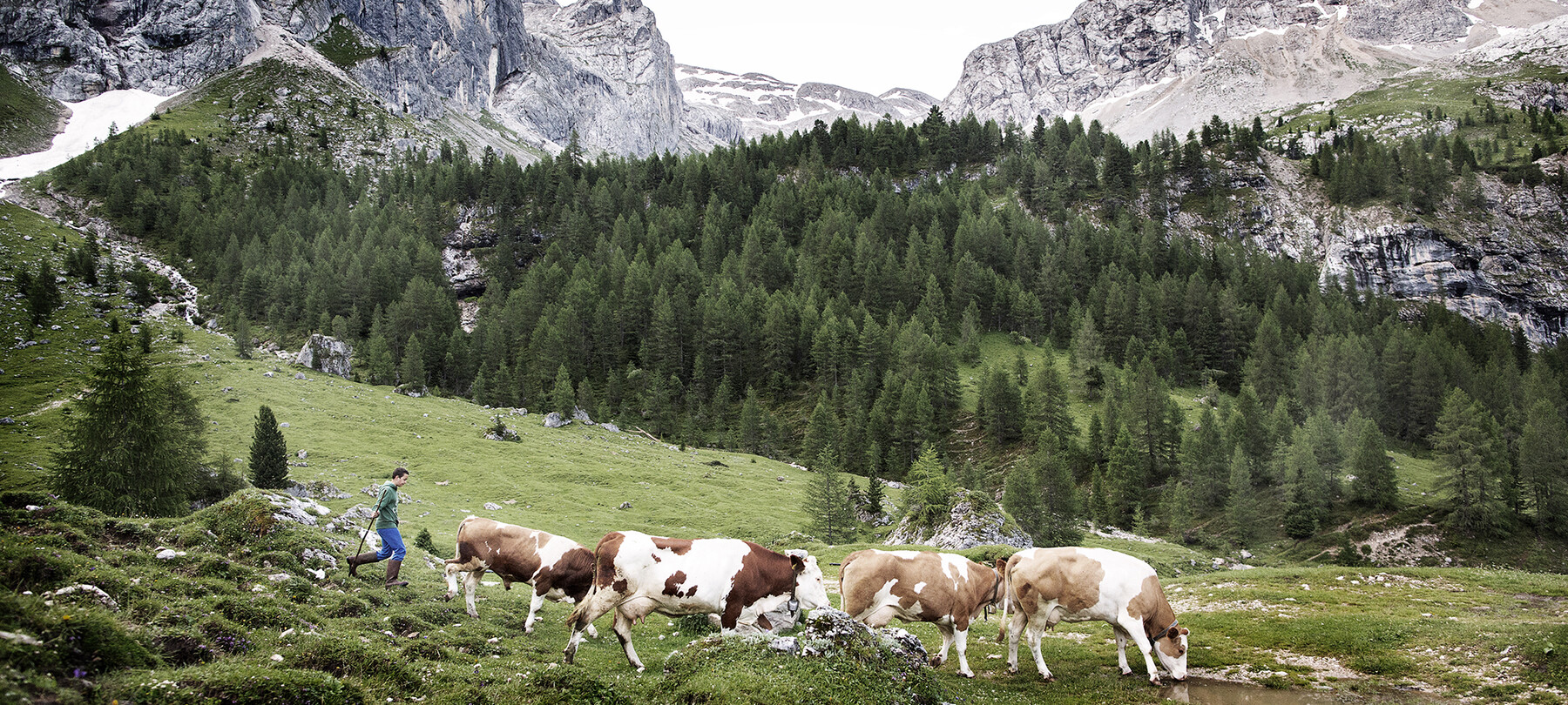 Albe e tramonti in malga in Val di Fassa