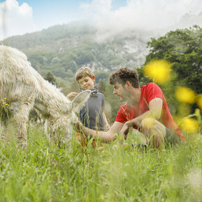 Imparare dalla natura
