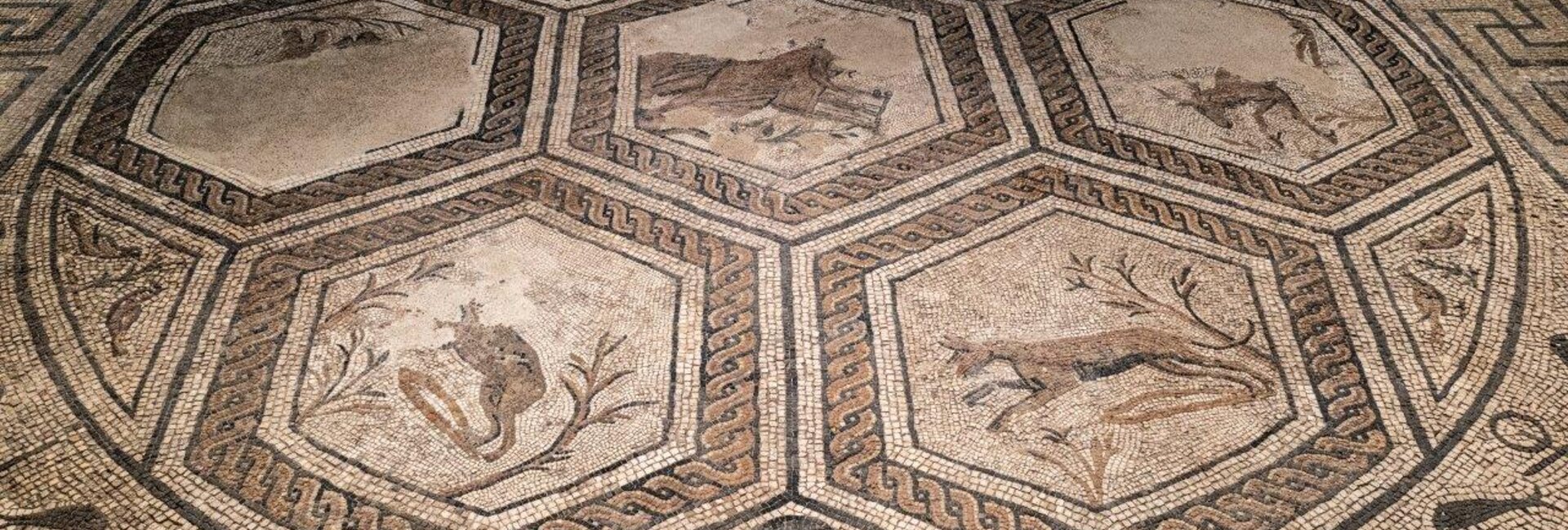 Die Römische Orpheus-Villa