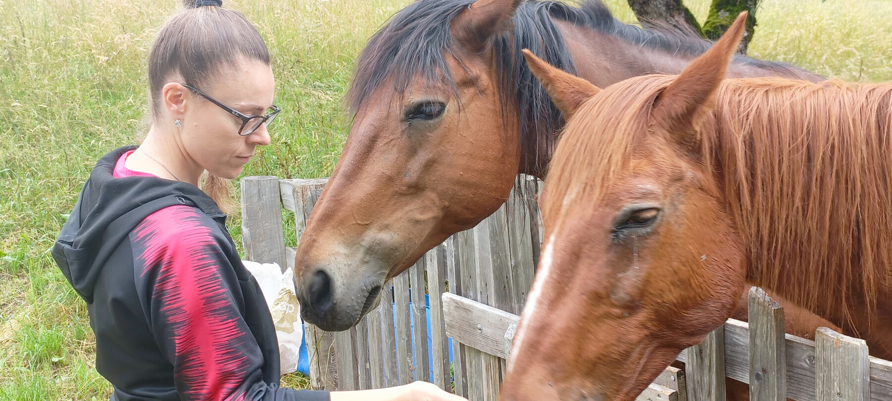 «Латте Ледро», вкус Трентино 
