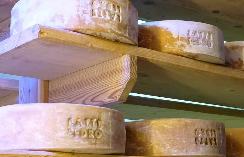 Formaggi Latte Ledro | © Archivio Trentino Mktg
