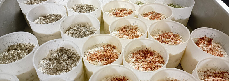 Freschi Latte Ledro | © Archivio Trentino Mktg