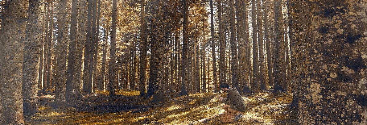 Das Gebirge im Herbst? Ein ganz anderes Schauspiel!