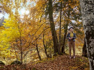 Rovereto, Vallagarina, Altopiano di Brentonico 