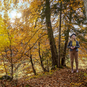 The magic of fall foliage 