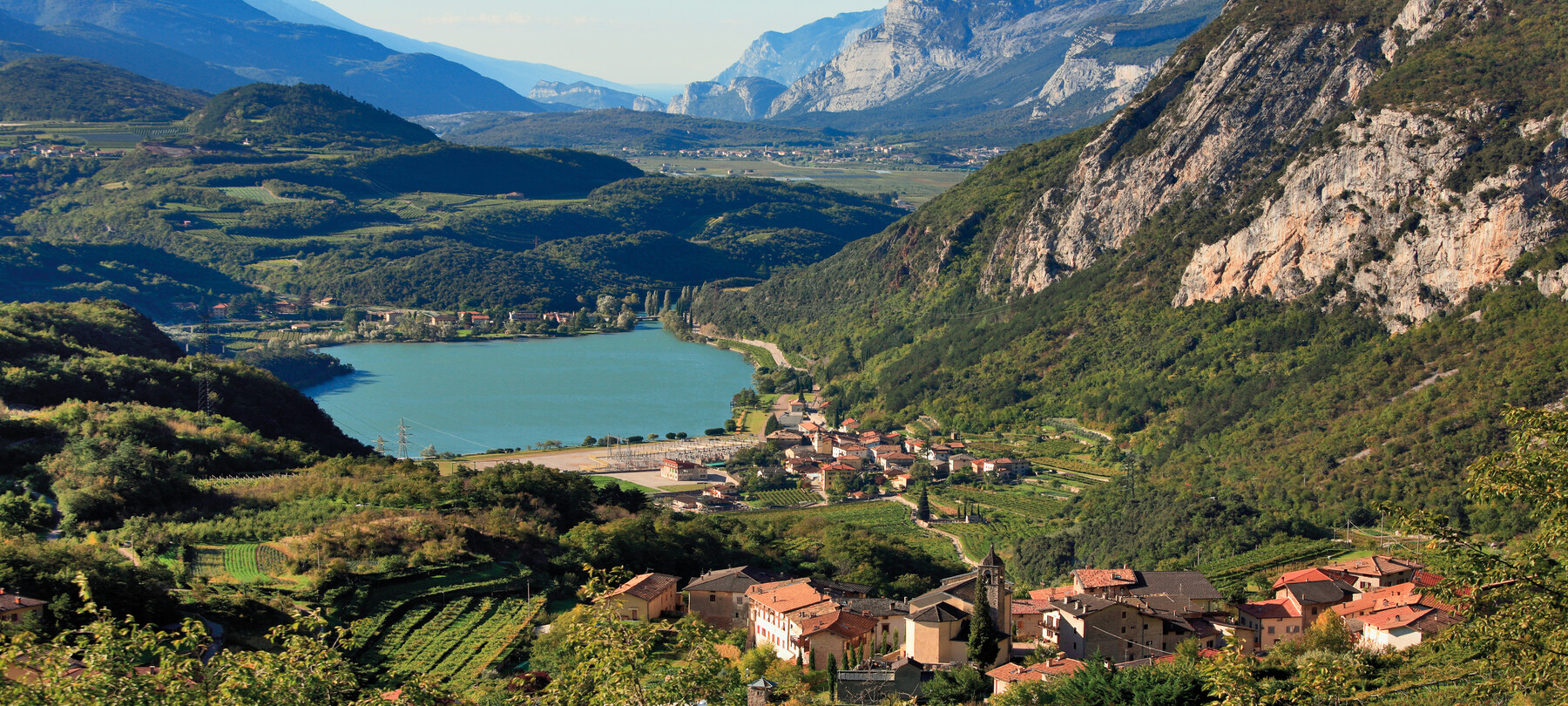 The gins of Trentino