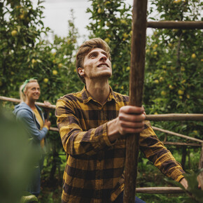 Raccolte d’autunno