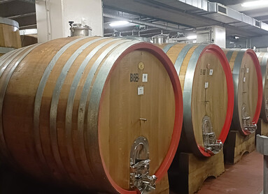 Cantina Toblino botti | © Archivio Trentino Mktg