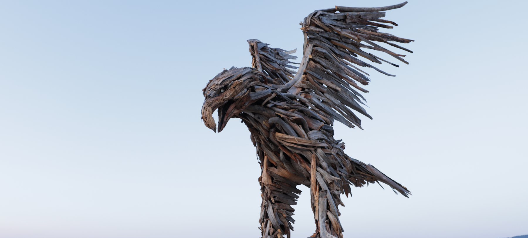 The Vaia Eagle in Marcesina: where and how to see it