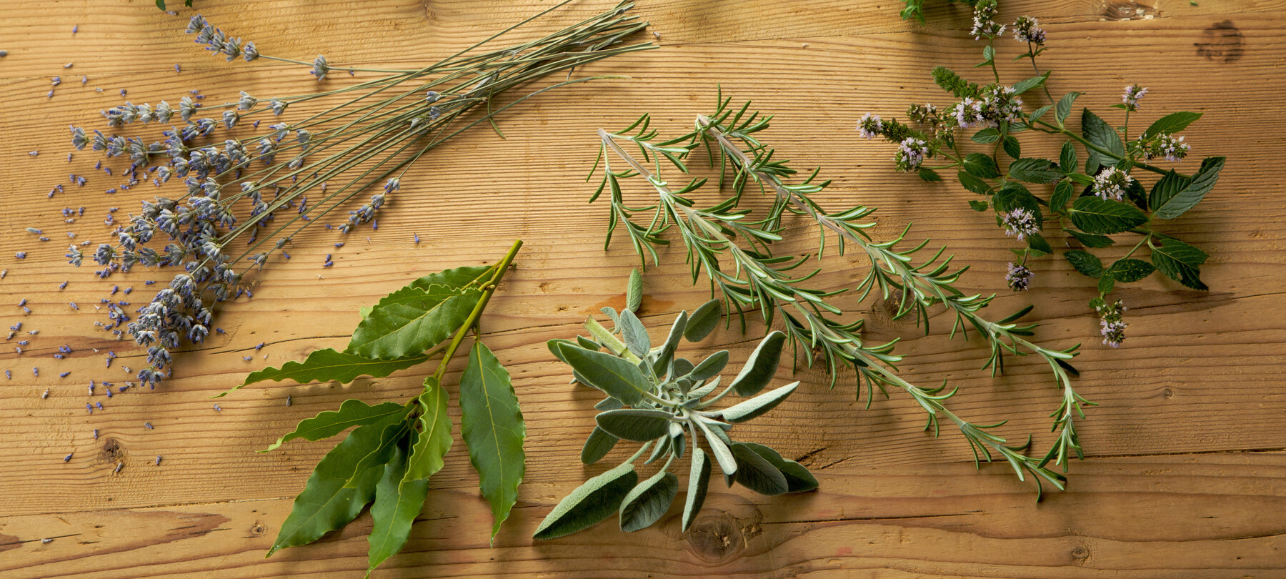 Christmas shopping with Trentino products