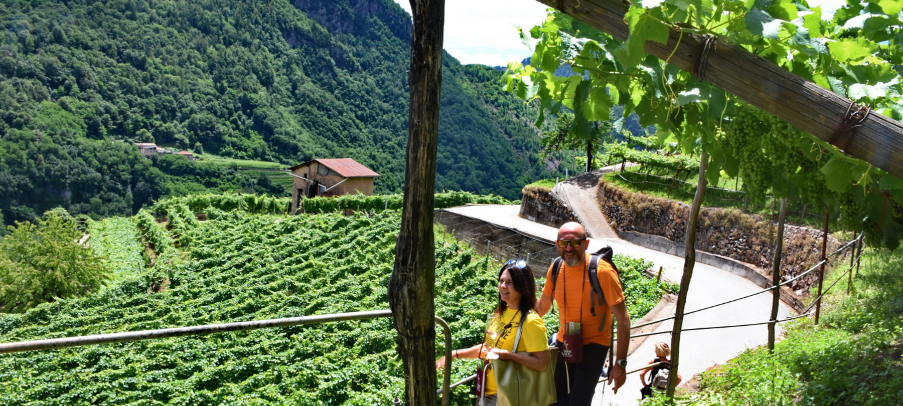 Dolo-Vini-Miti wine festival