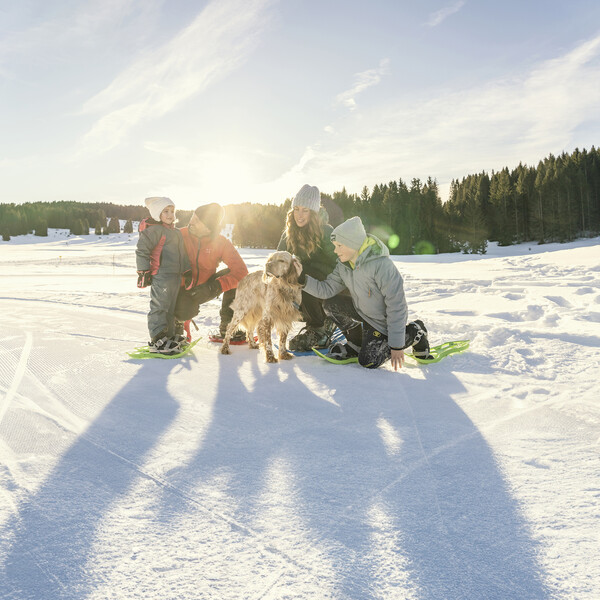 Family holiday offers