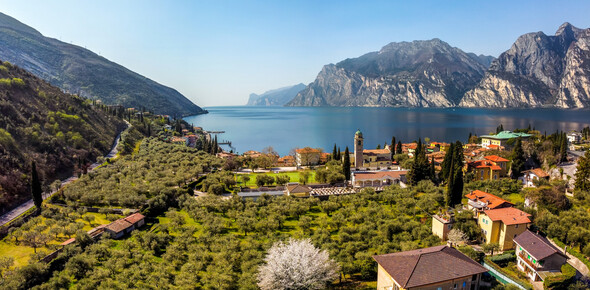 Garda Trentino - Lago di Garda - Torbole - Panorama aereo - Uliveti | © Fabio Staropoli