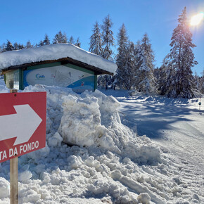 Sci di Fondo - Regole di Malosco | © Archivio fotografico APT Val di Non
