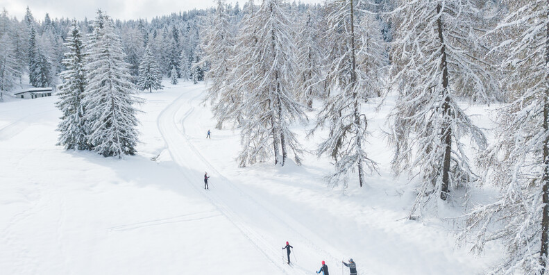 Centro Fondo Regole di Malosco  #2 | © APT Val di Non - Paolo Crocetta