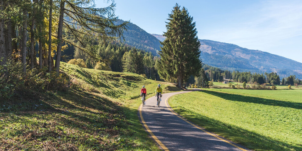 Mit dem Rad durch Wälder und Weinberge