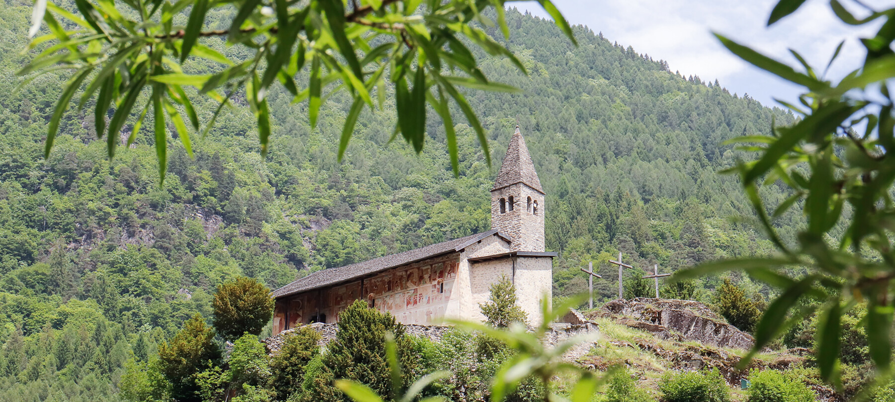 Chiesa di Santo Stefano di Carisolo. La chiesa sorge in cima a una rupe granitica. Dietro, il bosco si inerpica sul fianco della montagna: il verde dei suoi alberi si mischia a quello delle foglie che, sfocate in primissimo piano, fanno da cornice all’immagine. Sul lato della chiesa esposto a sud, quello immortalato nella fotografia, si riconoscono in lontananza degli affreschi. La chiesa ha un piccolo campanile in pietra e, sulla sua destra, svettano tre croci in legno.