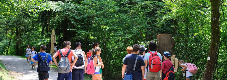 Un tratto di sentiero di Bosco Arte Stenico in una giornata estiva. Un gruppo di ragazzini e ragazzine, dell’età delle scuole medie, sta visitando il bosco. Il gruppo si è diviso per osservare due installazioni, una in primo piano, una sullo sfondo. Con loro c’è una figura adulta, forse l’insegnante. Dietro a due ragazzini c’è una sedia a rotelle, a dimostrazione che il percorso è adatto anche a persone con disabilità motoria. 