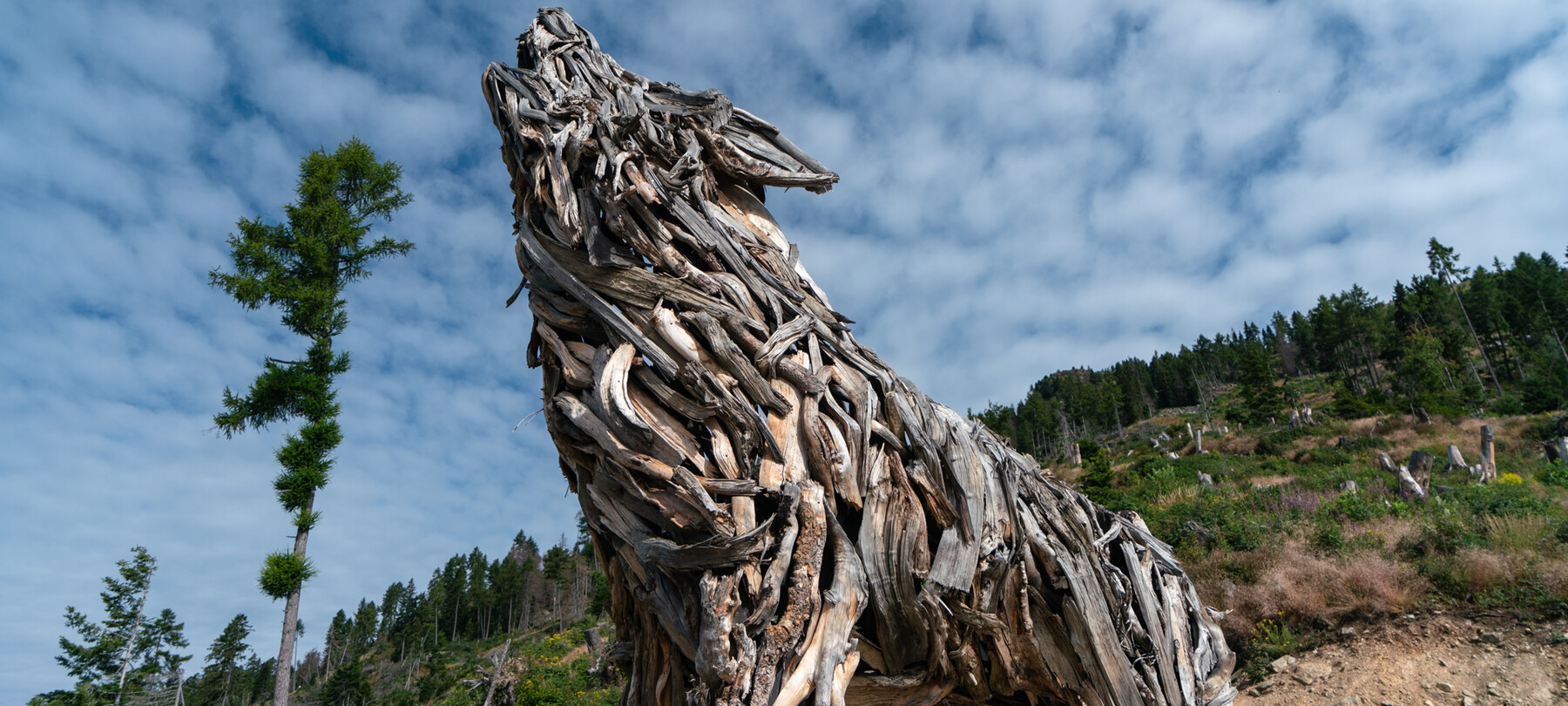 Valsugana and Lagorai: the 6th section of the Path of Peace