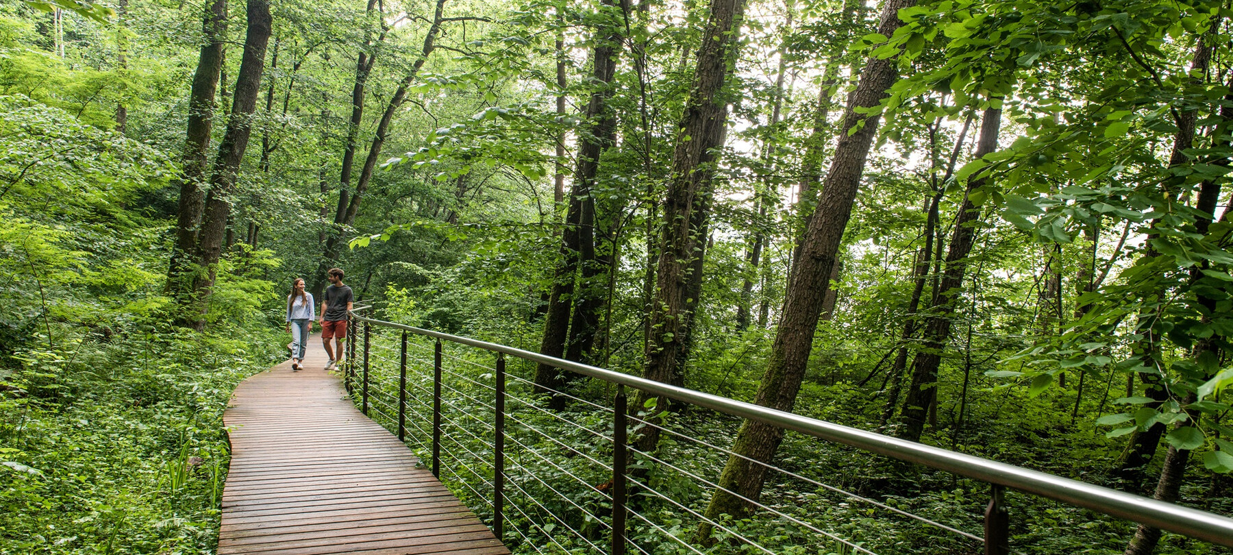 Valsugana i Lagorai: 6 odcinek Szlaku Pokoju