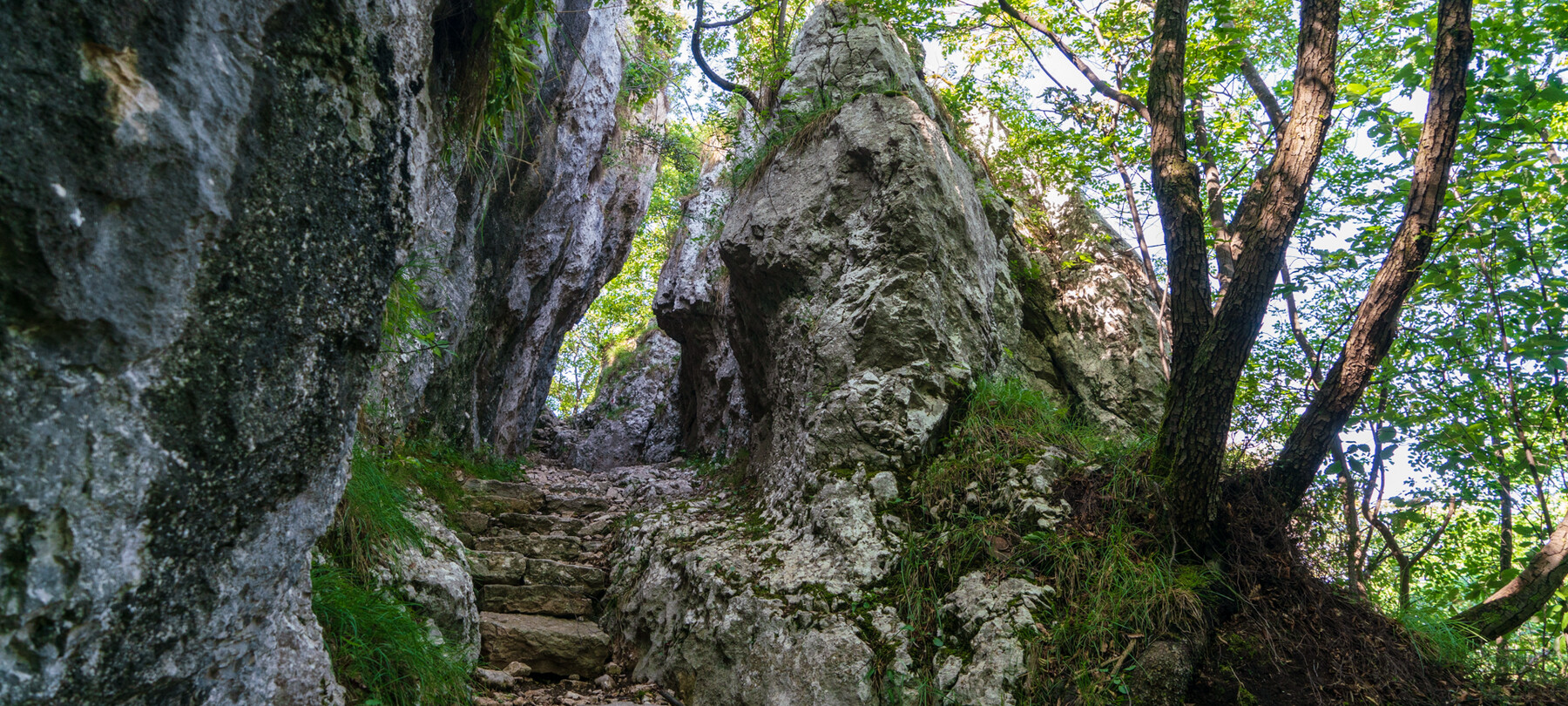 Friedensweg Trentino: 3. Abschnitt | Valle di Ledro und Alto Garda