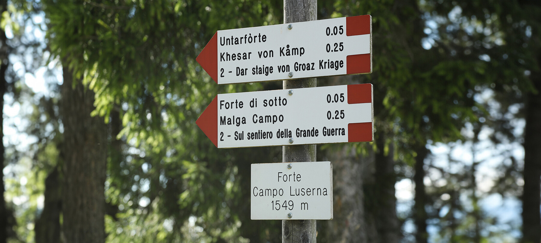 Geneza Szlaku Pokoju