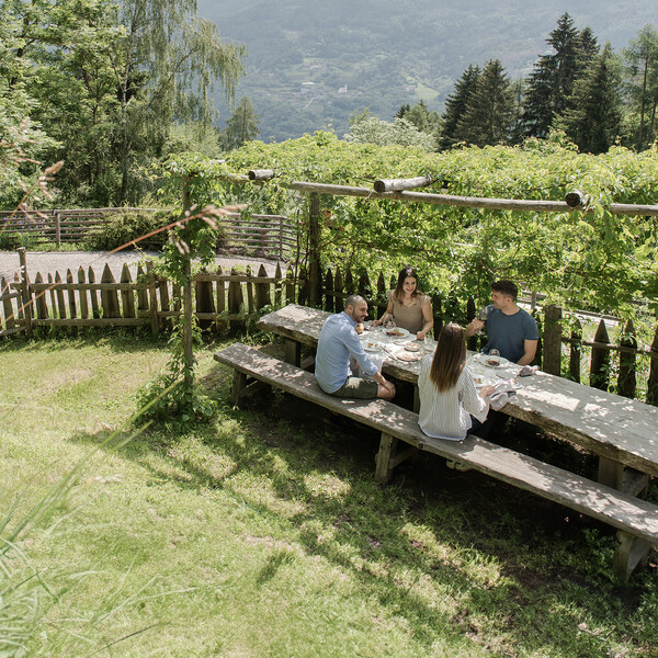 A journey into Trentino's food and wine