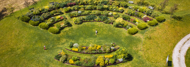 Pieve Tesino Giardino D'Europa | © Fotografo: Videonaria