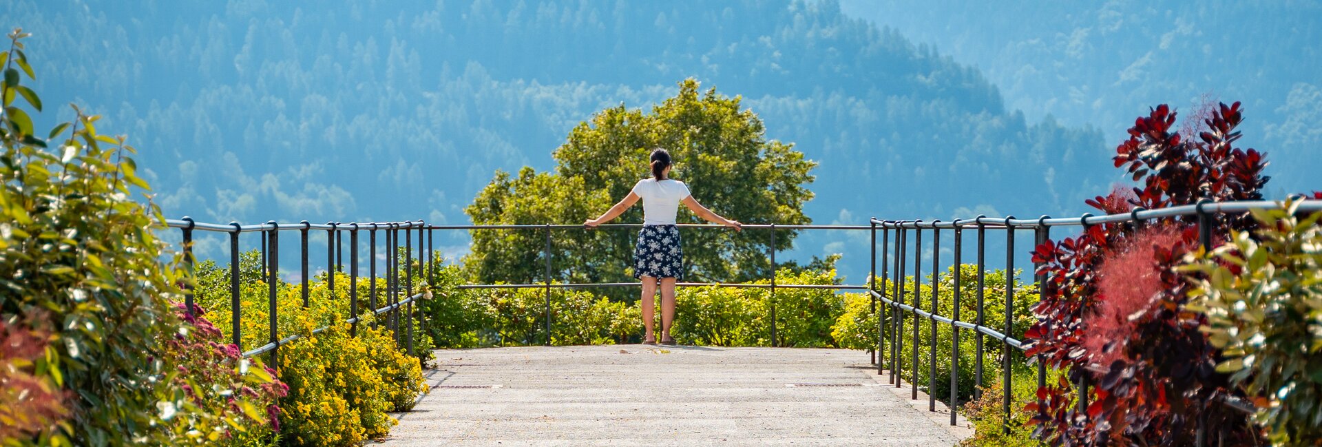 Pieve Tesino - Punto panoramico | © Fotografo: Videonaria