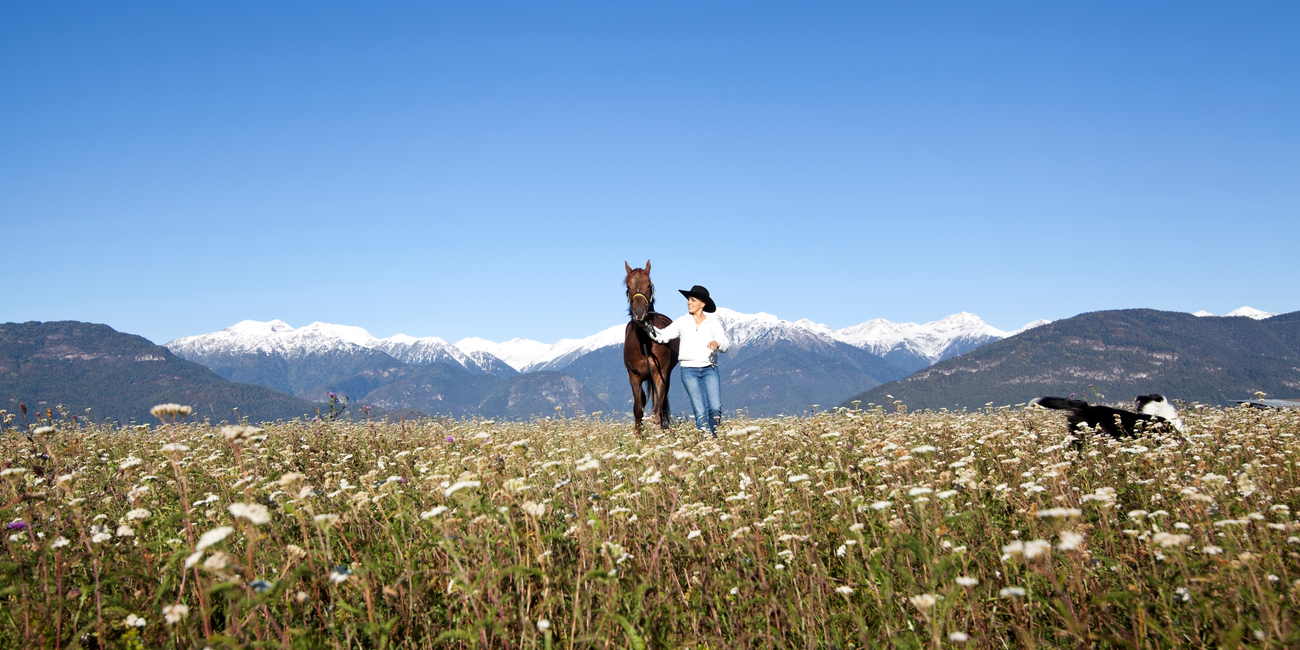 Reitplatz Agostini #1