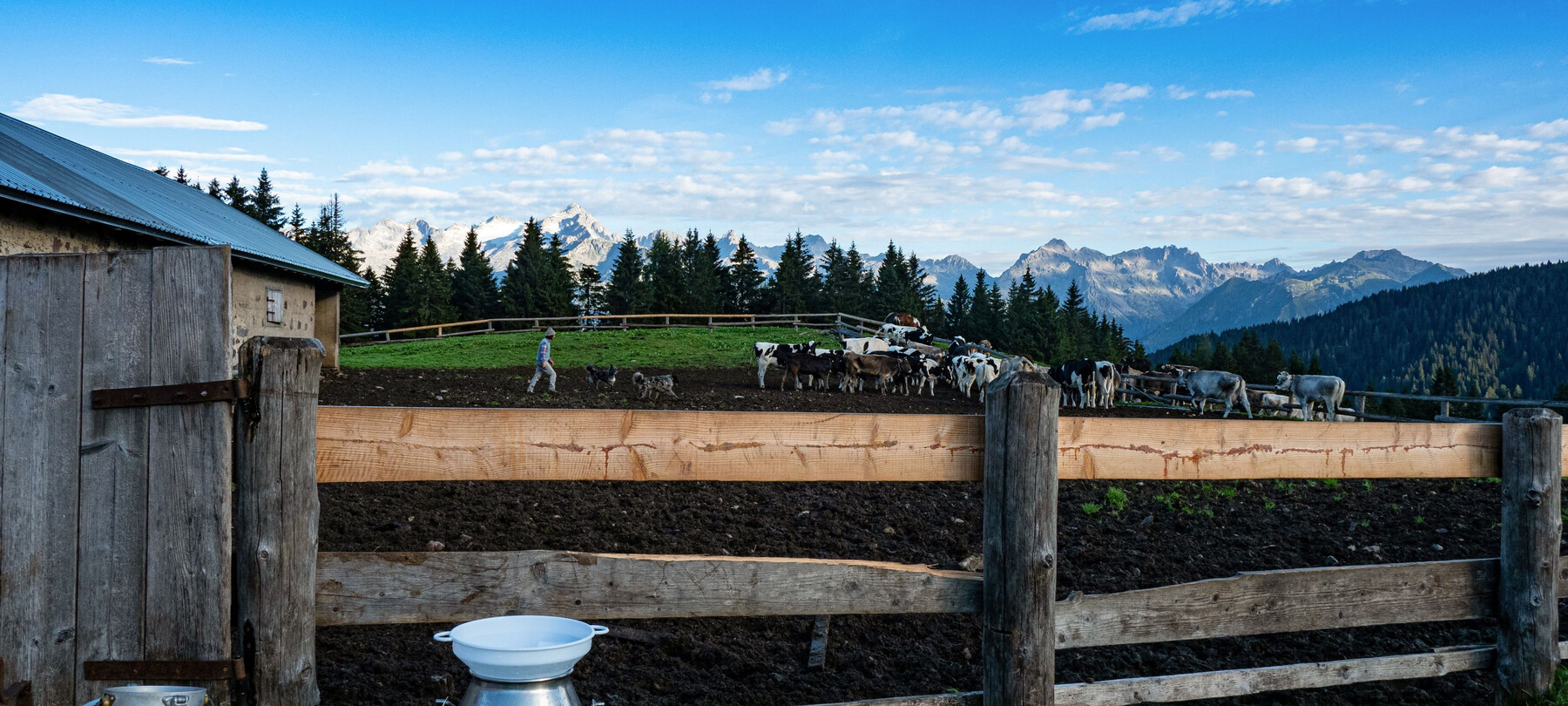 Comano Terme - Val d'Algone - Malga Movlina | © Comano Terme - Val d'Algone - Malga Movlina