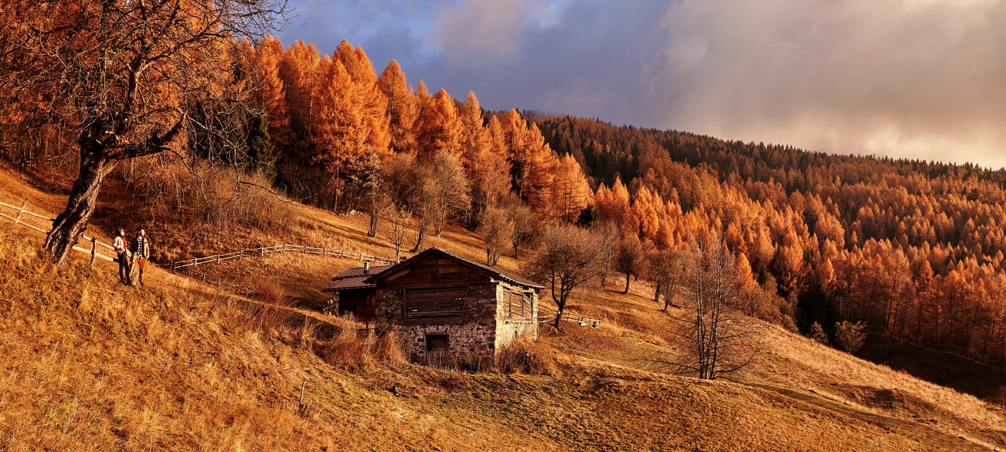 Ein verborgener Schatz