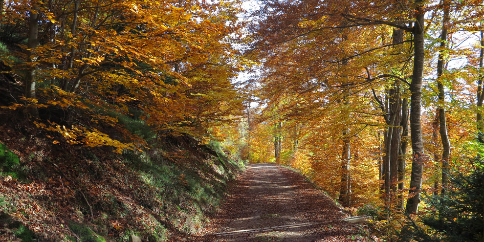 To the 'Piz delle Agole' and the little church of S. Leonardo