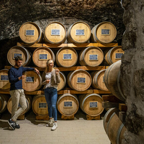 The Trentino of wine