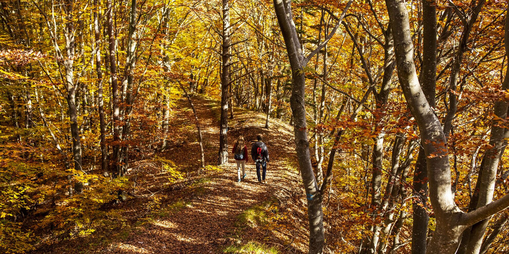 Autumn getaway in Paganella