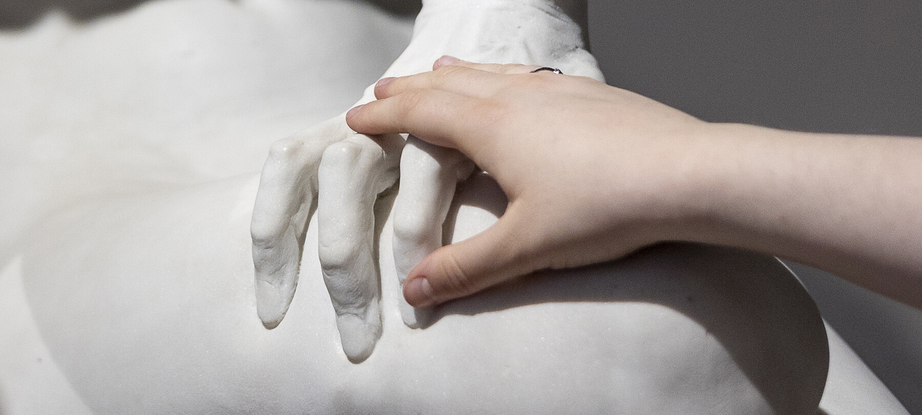 Your inclusive journey in Lagarina Valley 