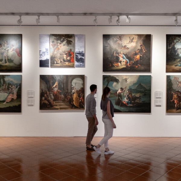 Cosa c’è di nuovo al museo? 