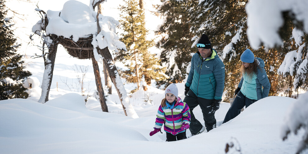 W poszukiwaniu smoków Latemaru