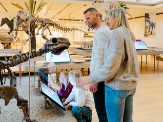 Trento - A city to discover 