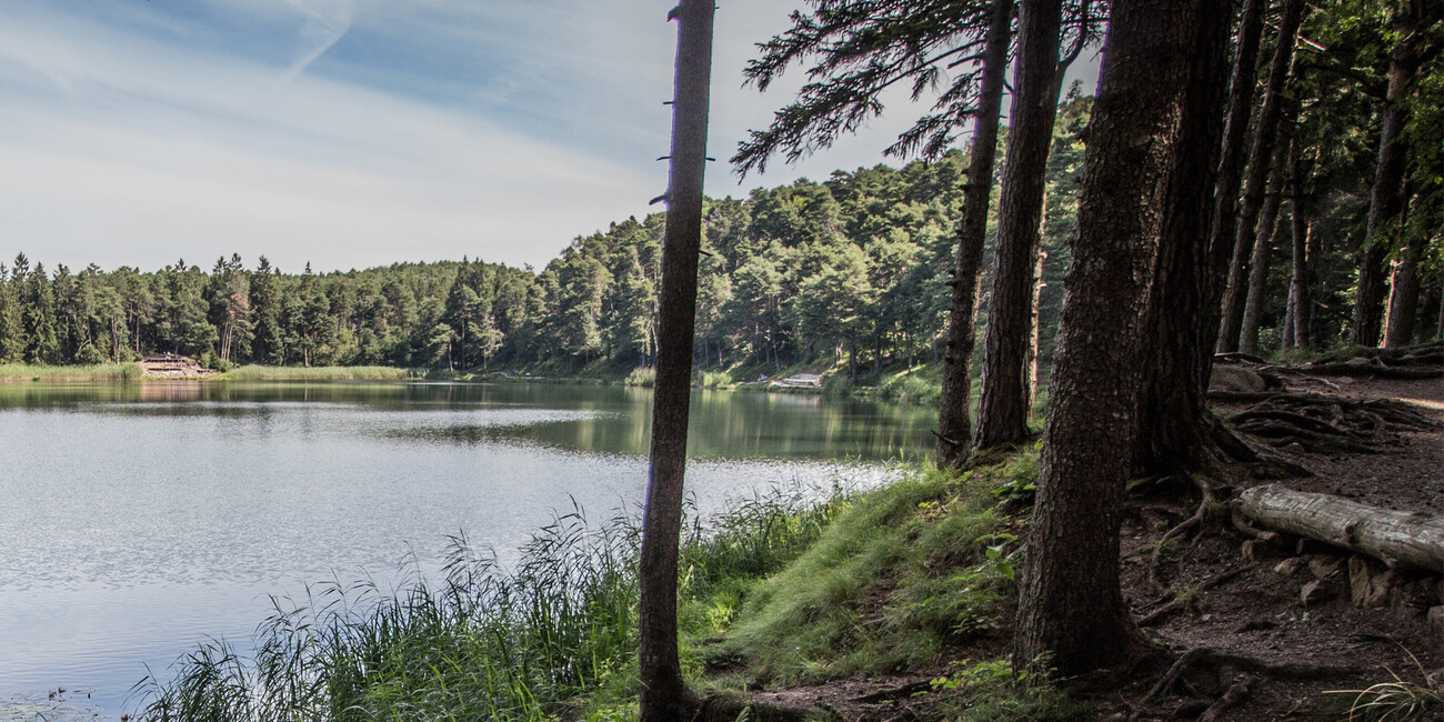 Lago di S. Colomba #3