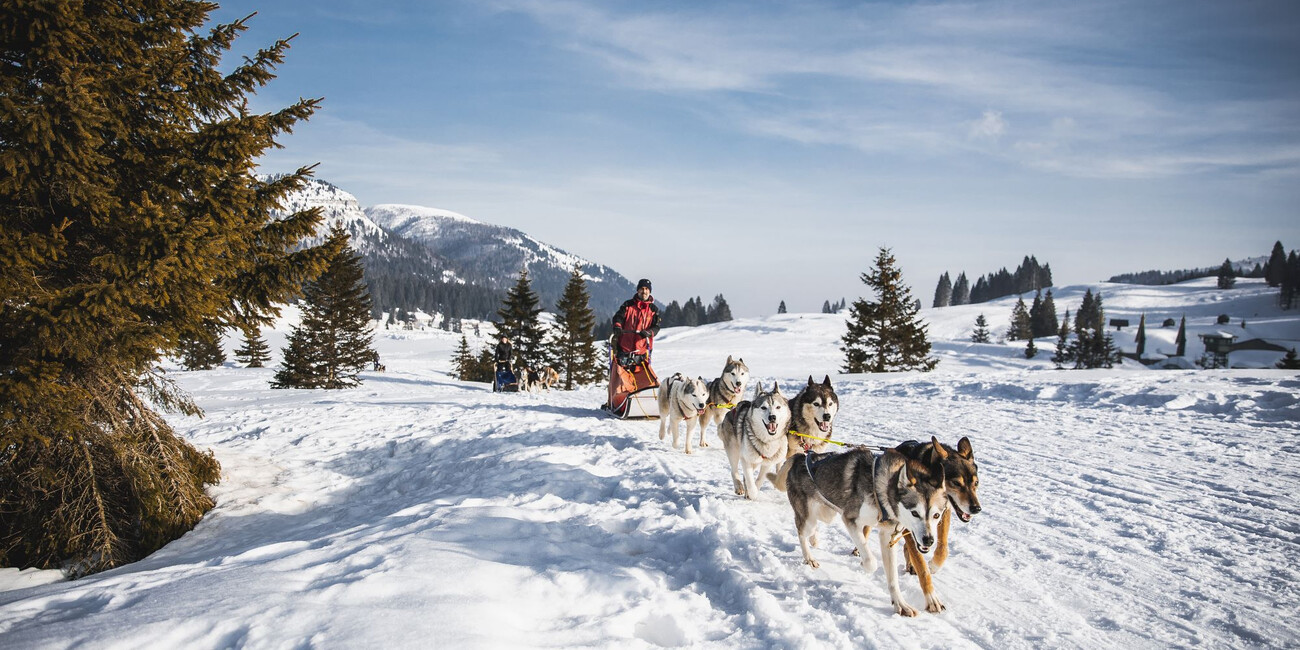 Giardino botanico di Passo Coe  #1