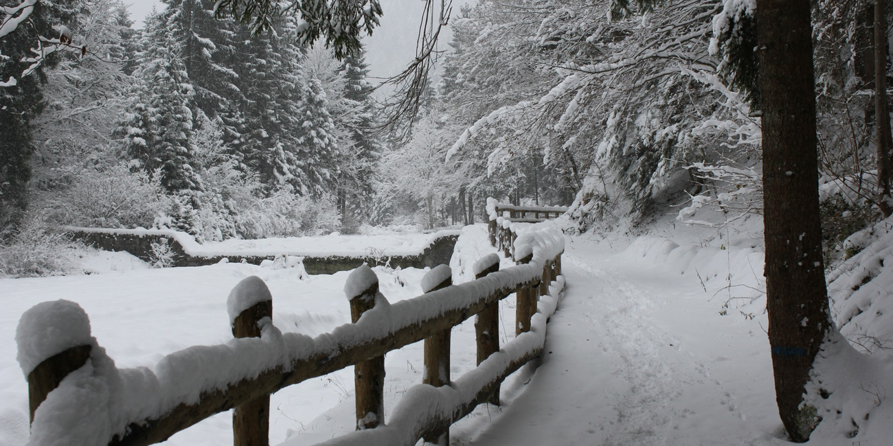 Sentiero Naturalistico Val Concei  #4