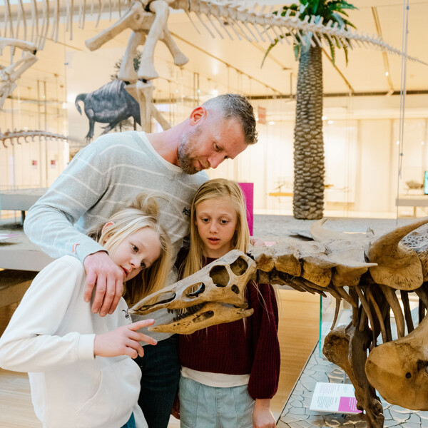 10 unmissable museums in Trentino