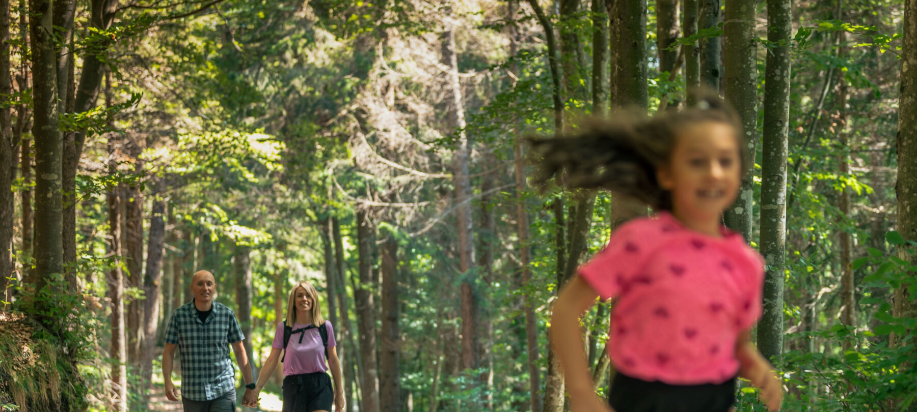 Alpe Cimbra - Lavarone - Parco respiro degli Alberi