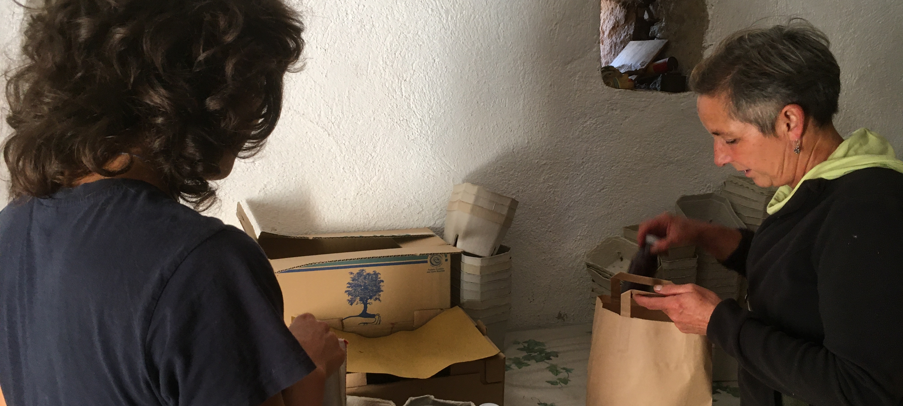 Borówki z łańcucha Trentino