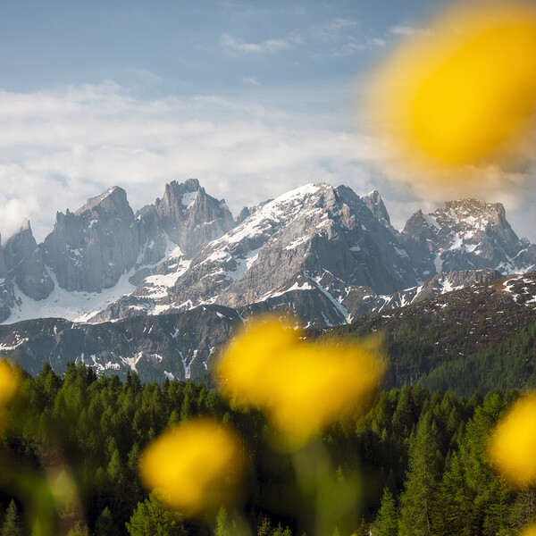 Powolne przebudzenie