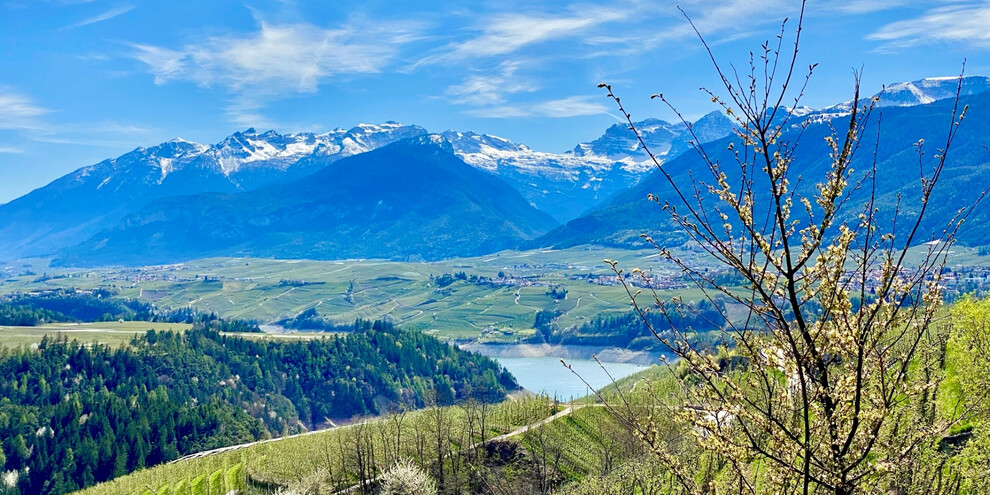 Spaziergang zur Obstblüte, Val di Non