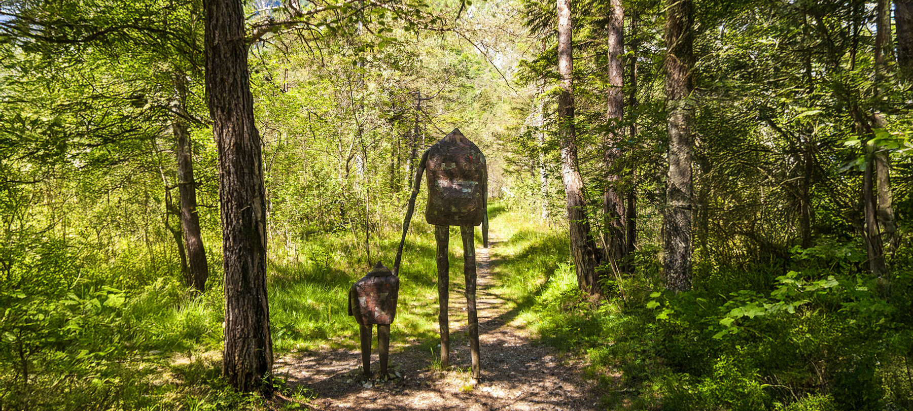 Устойчивое развитие Альпе-Чимбра