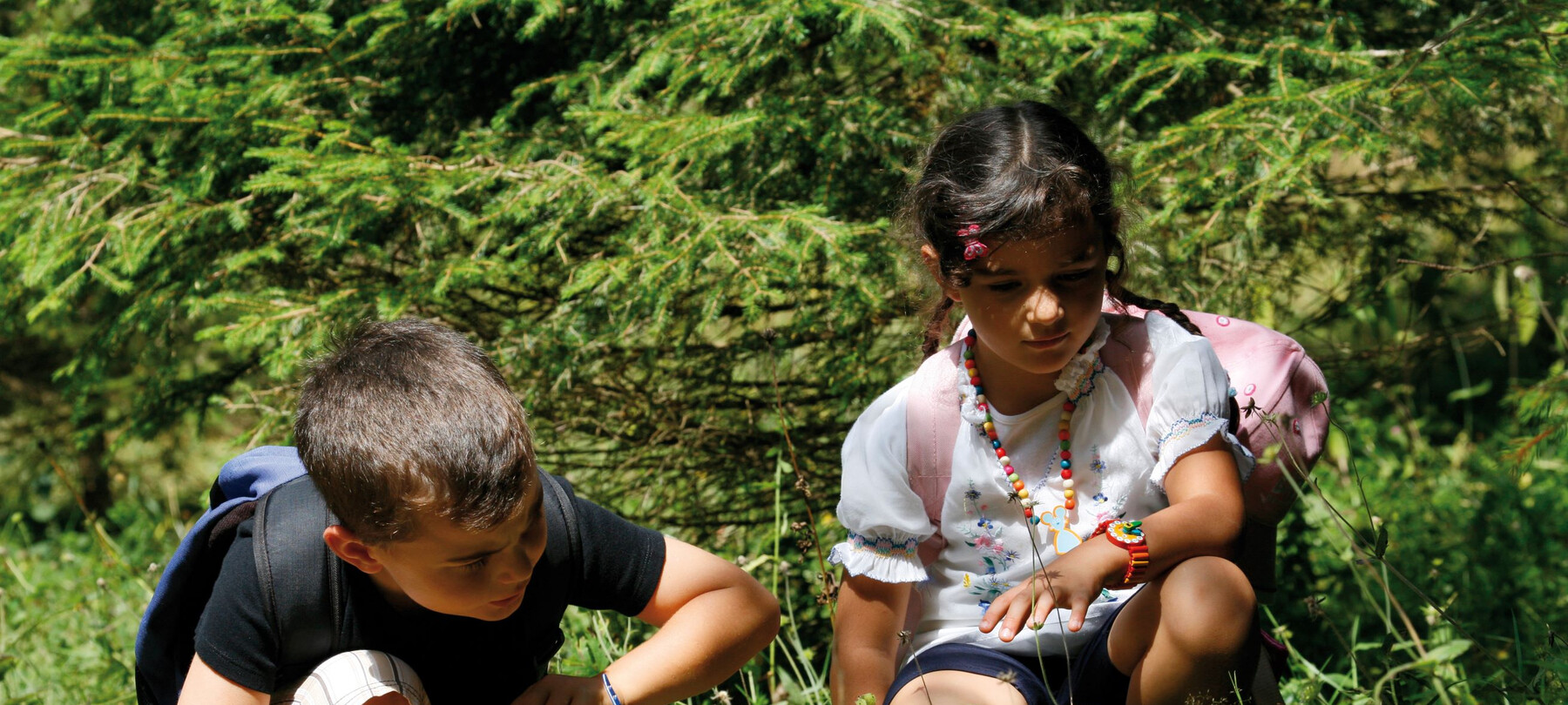 Alpe Cimbra: Mit Kindern auf den Spuren des Drachen 