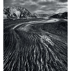 Trento Film Festival